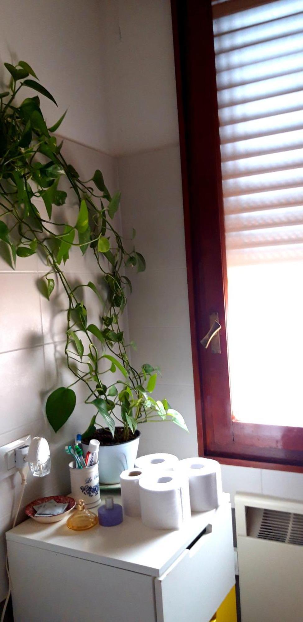Camera Luminosa Ed Elegante Ξενοδοχείο Μπολόνια Εξωτερικό φωτογραφία